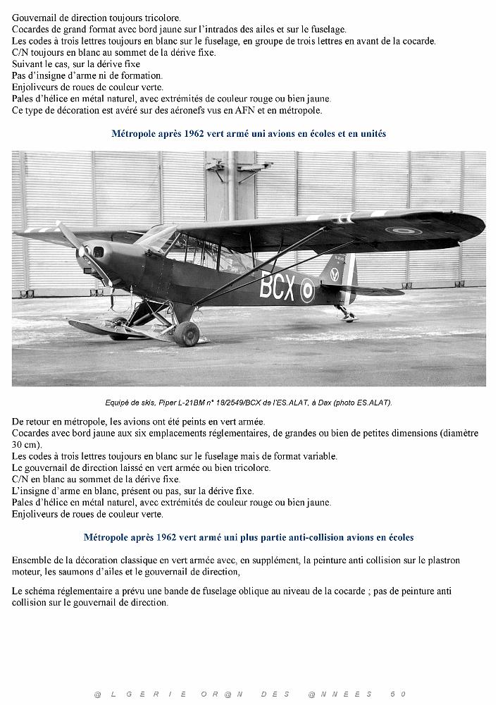 Piper L-21B_000009.jpg